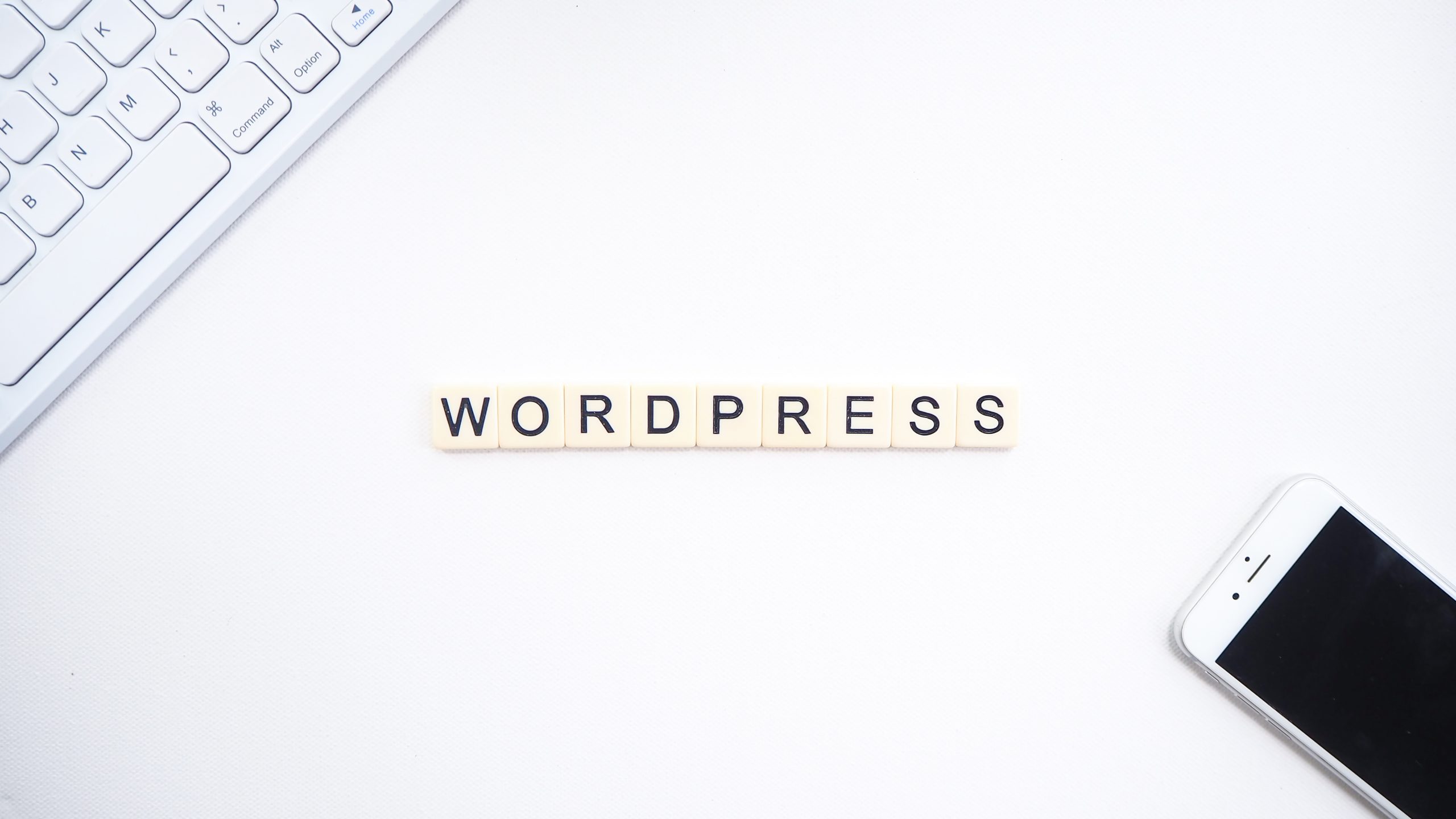 日本語版かつ無料で高機能！WordPressのテーマの紹介について